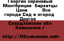 Георгин сиреневый. Монтбреция. Бархатцы.  › Цена ­ 100 - Все города Сад и огород » Другое   . Свердловская обл.,Камышлов г.